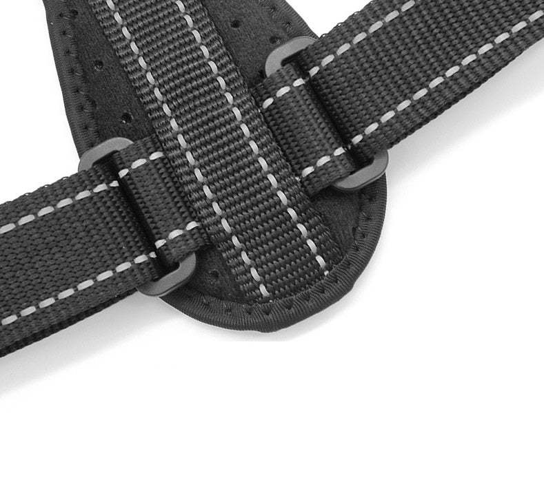 BackFix™ Posture Correction Belt